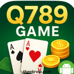 Q789 Game