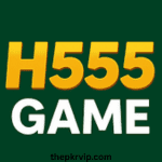 H555 Game