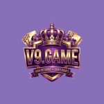 V9 Game